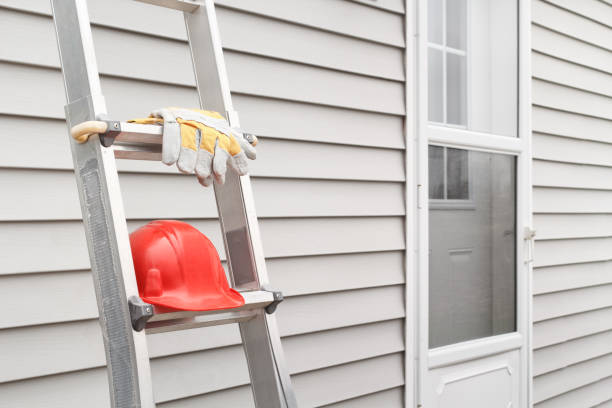 Best Siding Painting and Refinishing  in Plano, IL